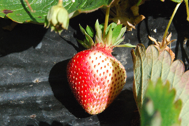 dsc_0085