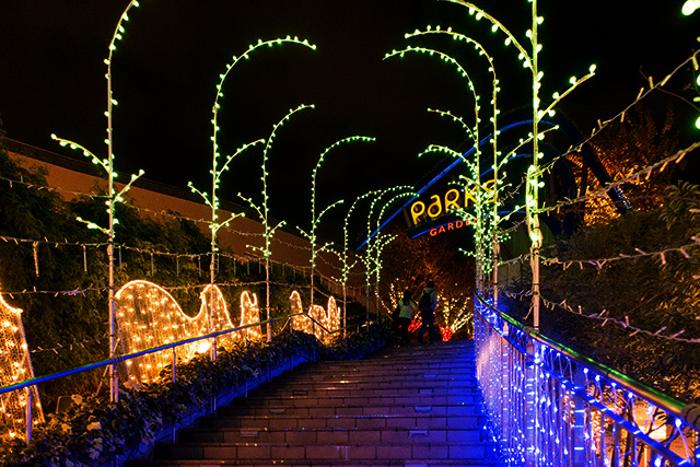 20141118-DSC01007