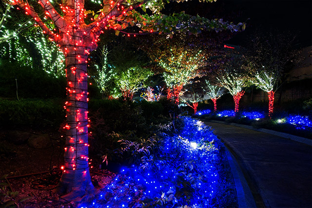 20141118-DSC01010