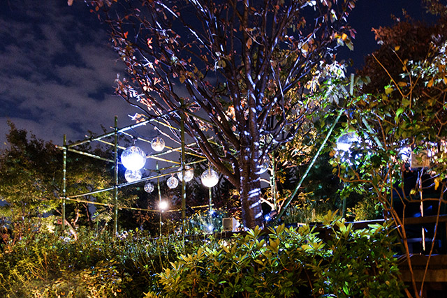 20141118-DSC01020