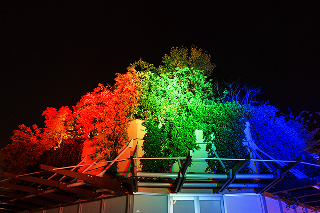 20141118-DSC01033