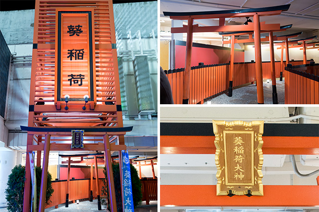 20141118-DSC01073