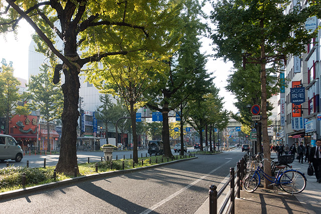 20141119-DSC01107