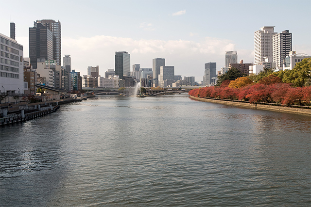 20141119-DSC01181