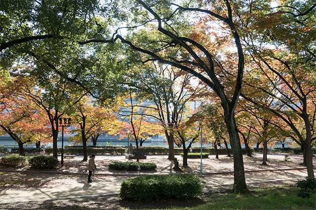20141119-DSC01187