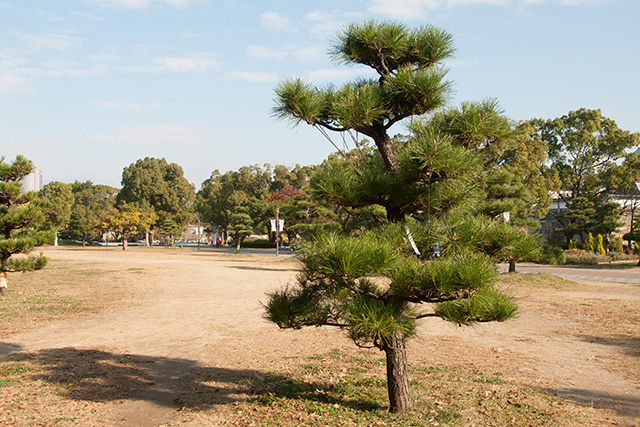 20141119-DSC_0019