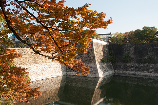 20141119-DSC_0038