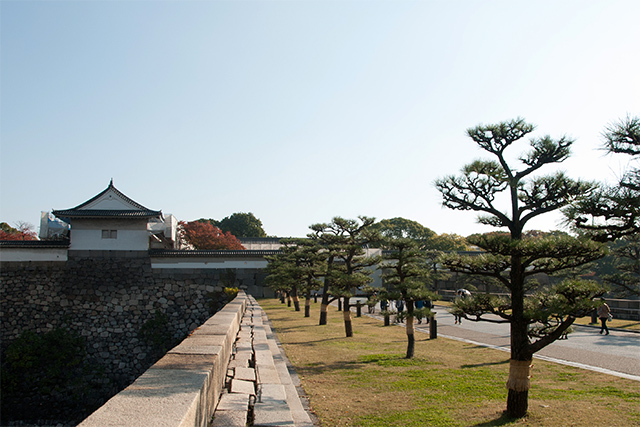 20141119-DSC_0048