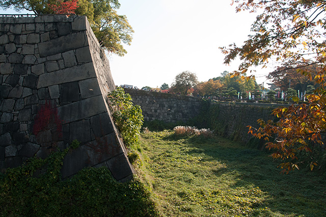 20141119-DSC_0064