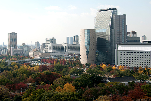 20141119-DSC_0091