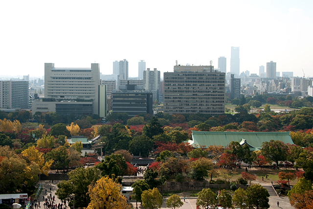20141119-DSC_0094