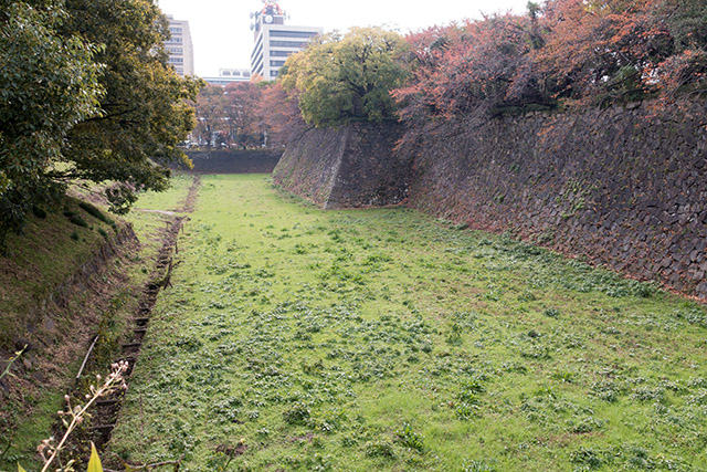 20141120-DSC01342