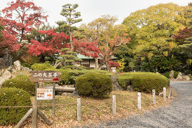 20141120-DSC01346