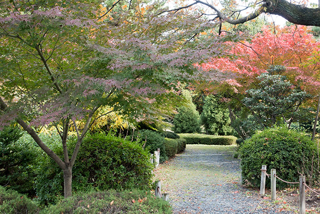 20141120-DSC01348
