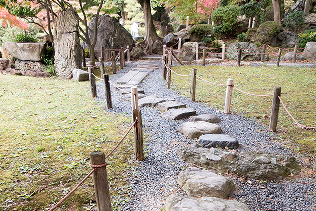 20141120-DSC01359