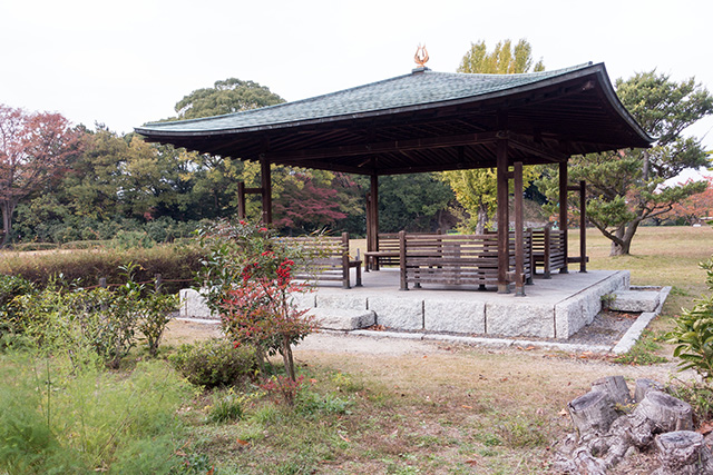 20141120-DSC01370