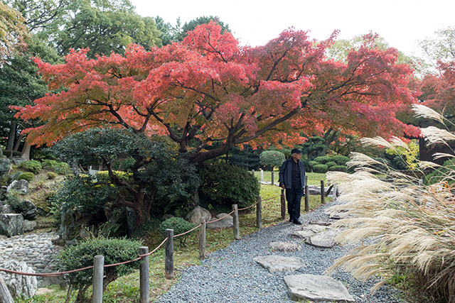 20141120-DSC01379