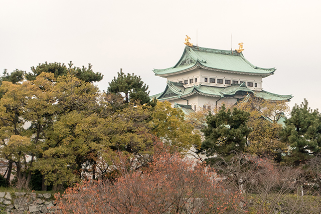 20141120-DSC01395
