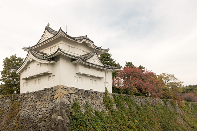 20141120-DSC01399