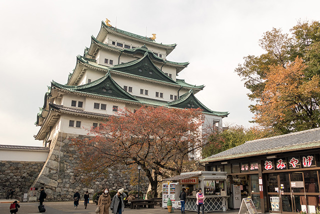 20141120-DSC01417