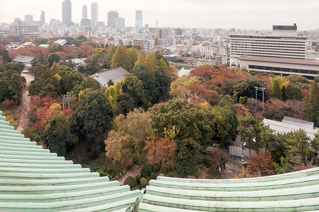 20141120-DSC01427