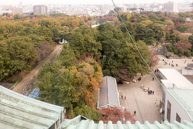 20141120-DSC01431