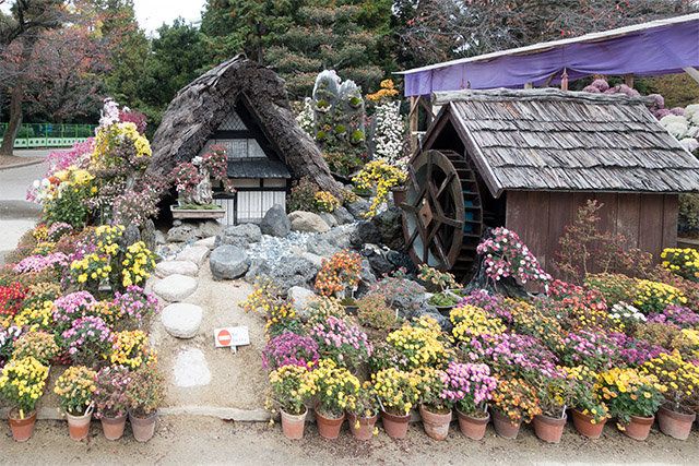 20141120-DSC01476