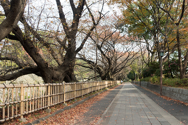 20141120-DSC01482