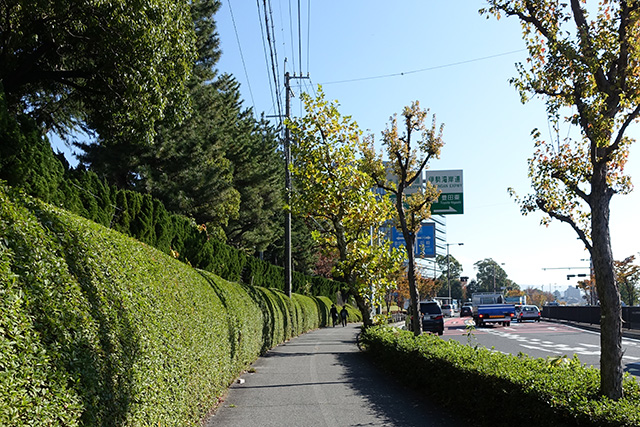 DSC01604