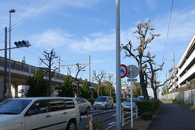 DSC01614