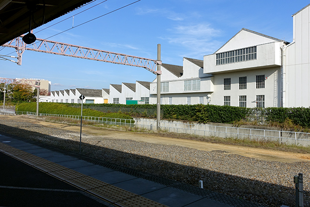DSC01619