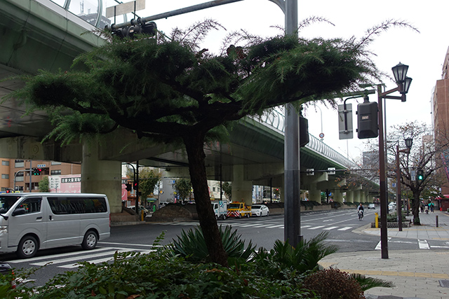 20151119-DSC08566
