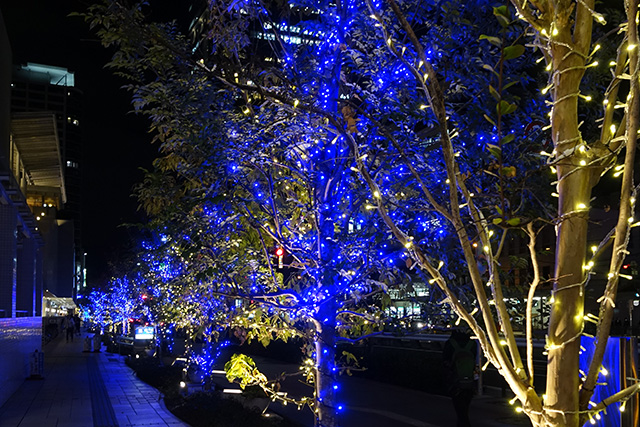 20151119-DSC08753