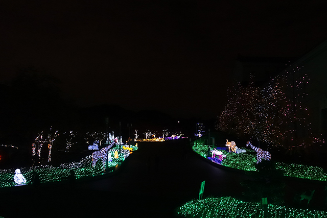 20151119-DSC08926