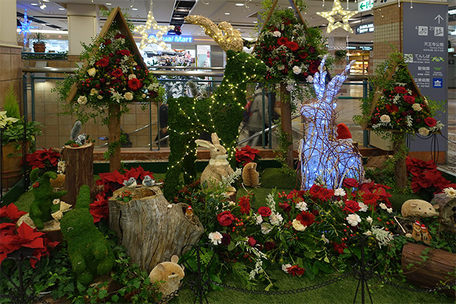 20151119-DSC08940