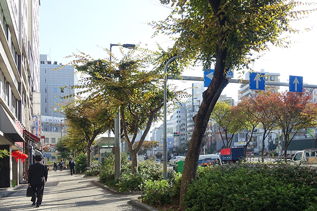 20151120-DSC08952