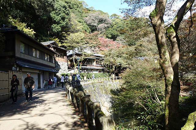 20151120-DSC09034
