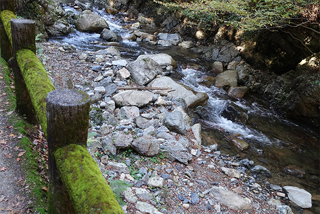 20151120-DSC09079