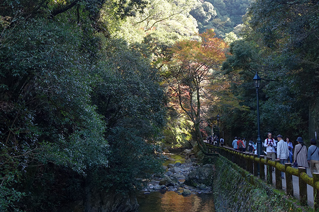 20151120-DSC09087