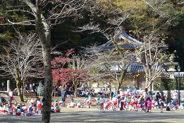 20151120-DSC09097