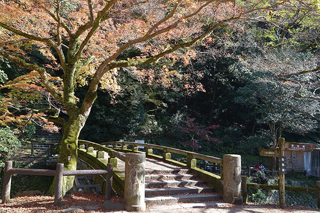 20151120-DSC09100
