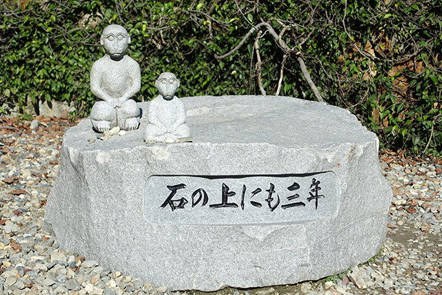 20151120-DSC09106