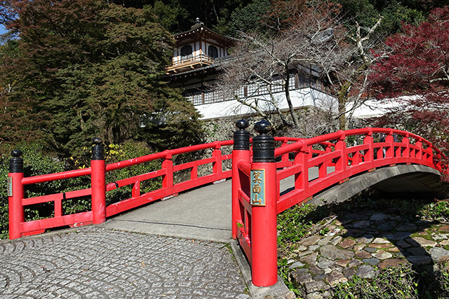 20151120-DSC09108