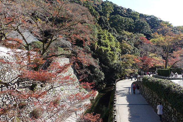 20151120-DSC09116-2