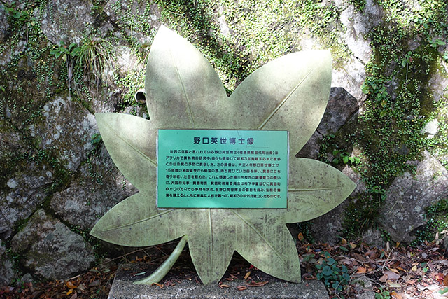 20151120-DSC09129