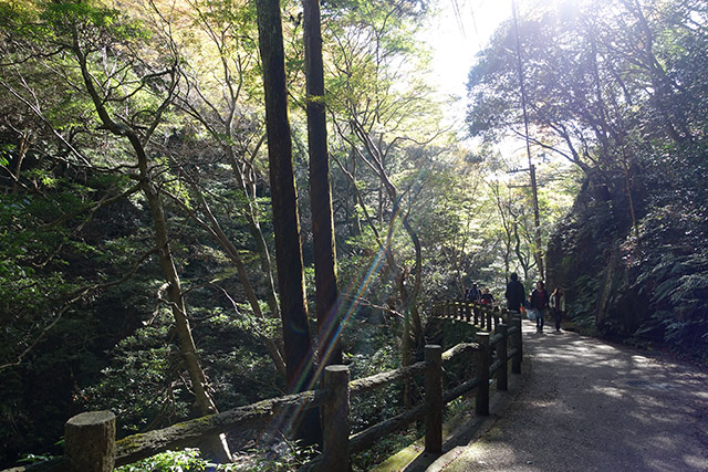 20151120-DSC09134