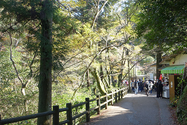 20151120-DSC09143