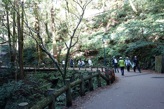 20151120-DSC09154