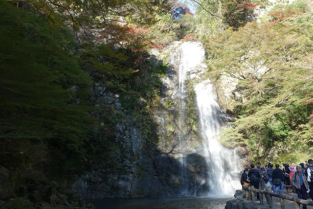 20151120-DSC09186