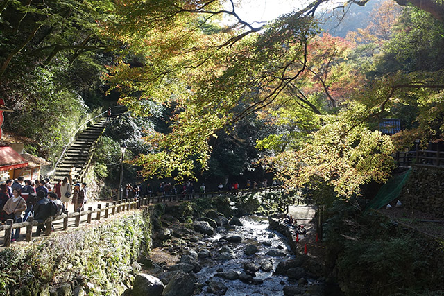 20151120-DSC09195